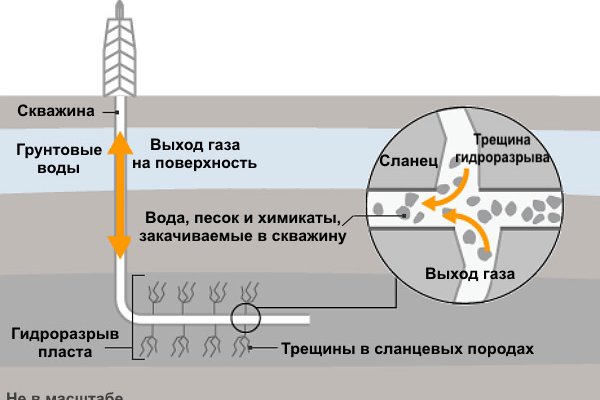 Как восстановить страницу на кракене