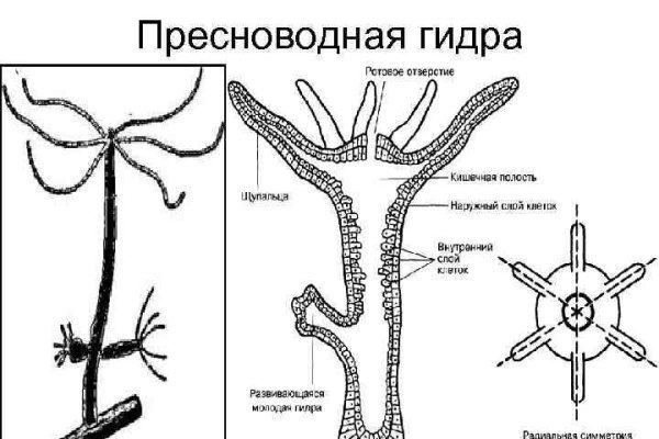 Сайт кракен что это такое