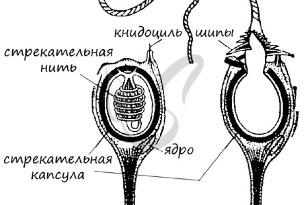 Кракен сайт at