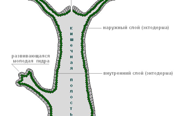 Кракен маркет зайти