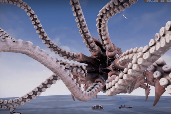 Kraken актуальное